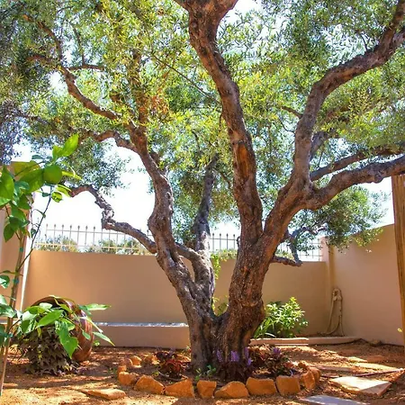 Anissa Elegant Villa Limenas Chersonisou